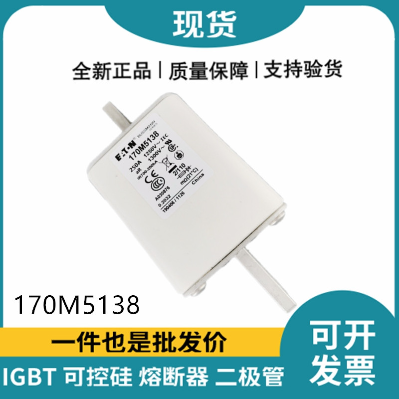 巴斯曼BUSSMANN低壓快速熔斷器 170M5138