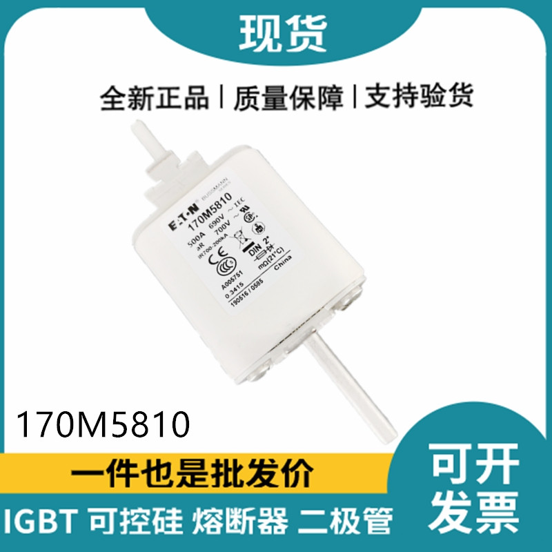 巴斯曼BUSSMANN低壓快速熔斷器 170M5810