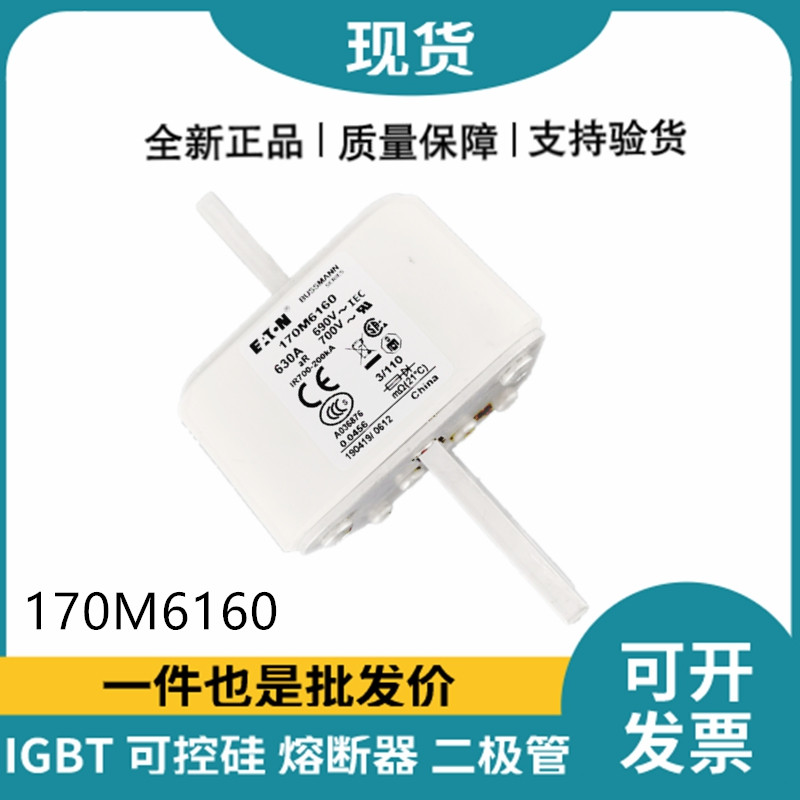 巴斯曼BUSSMANN低壓快速熔斷器 170M6160