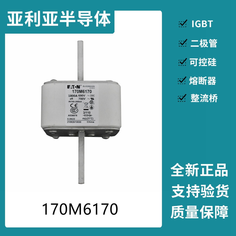 巴斯曼BUSSMANN低壓快速熔斷器 170M6170