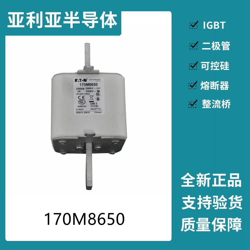 巴斯曼BUSSMANN低壓快速熔斷器 170M8650